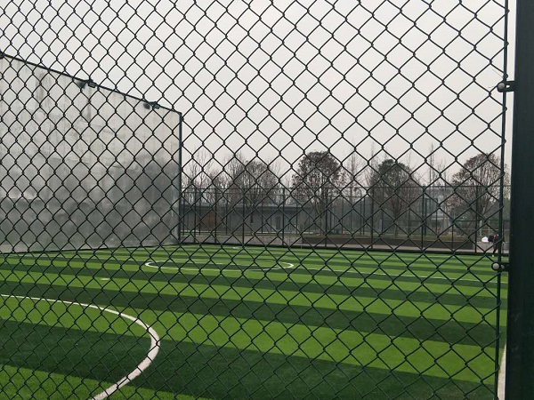 四川足球场草坪护栏安装案例